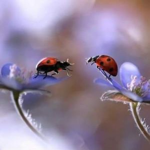 Meet your Posher, Michele